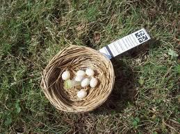 Geocache